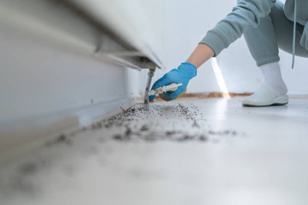 Bird Control in Orchard Hills, PA